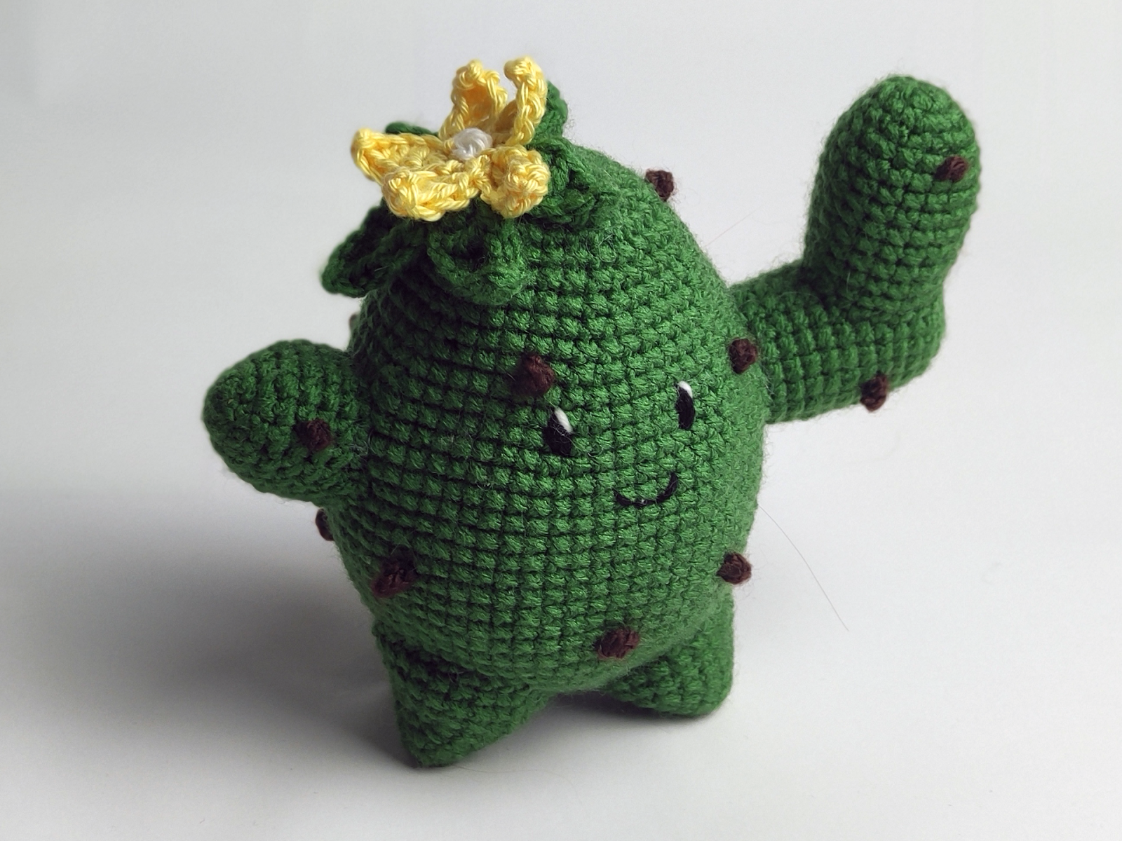 Blog content image for 'Little Cactus'